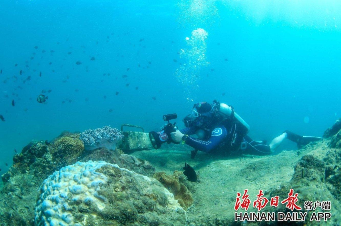 小公主三亚游